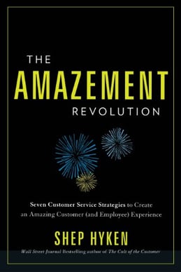 the amazement revolution